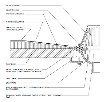 roof detail